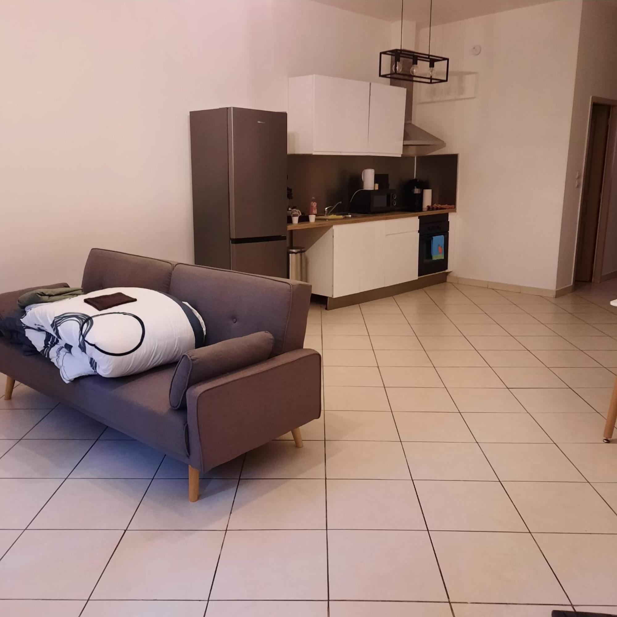 Le Albert 1Er Beziers Appartements Tout Equipes Zewnętrze zdjęcie